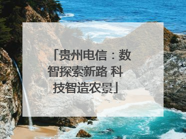 贵州电信：数智探索新路 科技智造农景