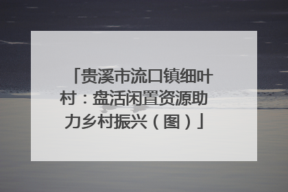 贵溪市流口镇细叶村：盘活闲置资源助力乡村振兴（图）