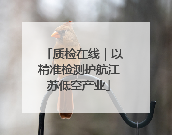 质检在线｜以精准检测护航江苏低空产业