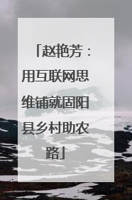 赵艳芳：用互联网思维铺就固阳县乡村助农路