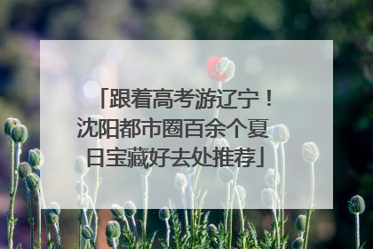 跟着高考游辽宁！沈阳都市圈百余个夏日宝藏好去处推荐