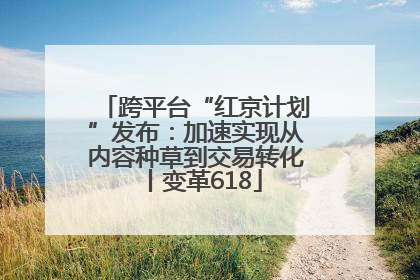 跨平台“红京计划”发布：加速实现从内容种草到交易转化丨变革618