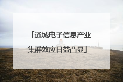 通城电子信息产业集群效应日益凸显