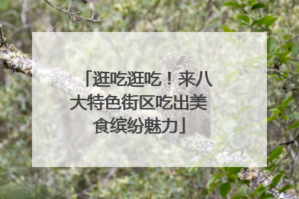 逛吃逛吃！来八大特色街区吃出美食缤纷魅力