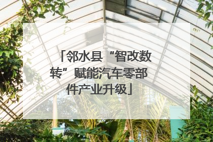 邻水县“智改数转”赋能汽车零部件产业升级