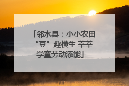 邻水县：小小农田“豆”趣横生 莘莘学童劳动添能