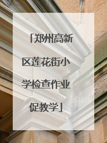 郑州高新区莲花街小学检查作业促教学