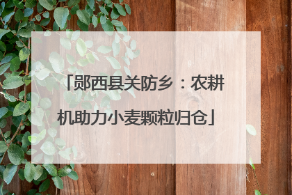 郧西县关防乡：农耕机助力小麦颗粒归仓