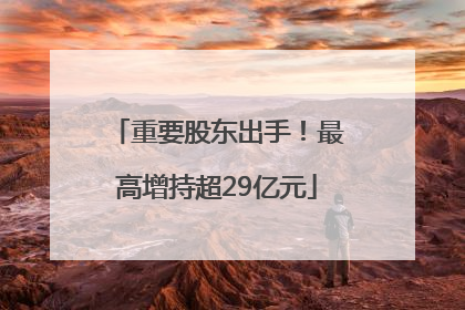 重要股东出手！最高增持超29亿元