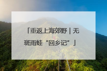 重返上海郊野｜无斑雨蛙“回乡记”