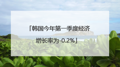 韩国今年第一季度经济增长率为-0.2%