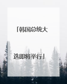 韩国总统大选即将举行
