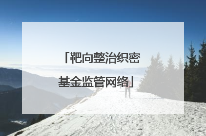 靶向整治织密基金监管网络