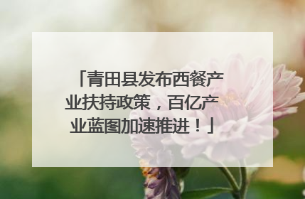 青田县发布西餐产业扶持政策，百亿产业蓝图加速推进！