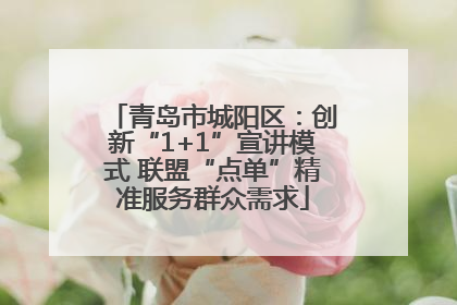 青岛市城阳区：创新“1+1”宣讲模式 联盟“点单”精准服务群众需求