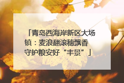 青岛西海岸新区大场镇：麦浪翻滚穗飘香 守护粮安好“丰景”