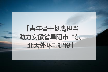 青年骨干挺膺担当 助力安徽省阜阳市“东北大外环”建设