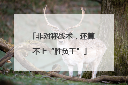 非对称战术，还算不上“胜负手”