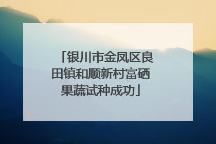 银川市金凤区良田镇和顺新村富硒果蔬试种成功