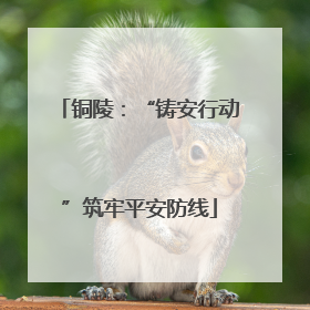 铜陵：“铸安行动”筑牢平安防线