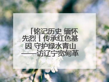 铭记历史 缅怀先烈丨传承红色基因 守护绿水青山——访辽宁宽甸革命老区