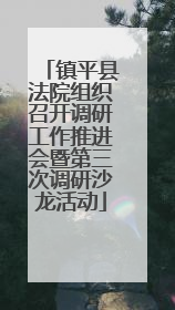 镇平县法院组织召开调研工作推进会暨第三次调研沙龙活动