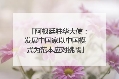 阿根廷驻华大使：发展中国家以中国模式为范本应对挑战
