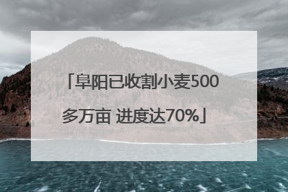 阜阳已收割小麦500多万亩 进度达70%