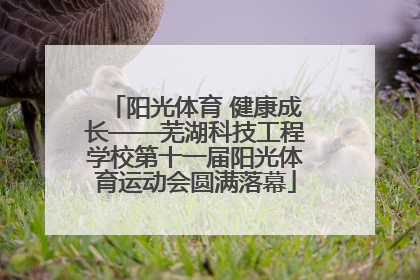 阳光体育 健康成长——芜湖科技工程学校第十一届阳光体育运动会圆满落幕