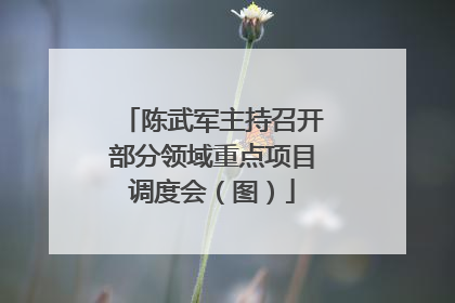 陈武军主持召开部分领域重点项目调度会（图）