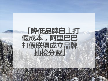 降低品牌自主打假成本，阿里巴巴打假联盟成立品牌抽检分盟
