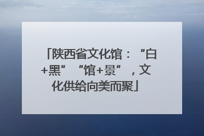 陕西省文化馆：“白+黑”“馆+景”，文化供给向美而聚