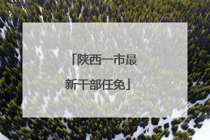 陕西一市最新干部任免