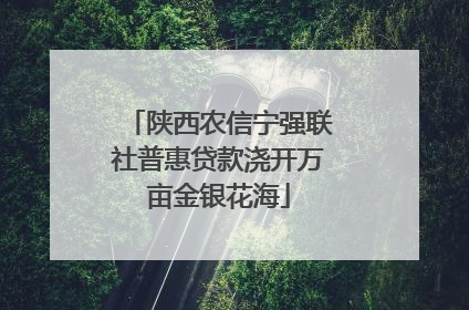 陕西农信宁强联社普惠贷款浇开万亩金银花海