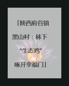 陕西府谷镇黑山村：林下“生态鸡” 啄开幸福门