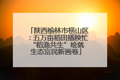 陕西榆林市横山区：五万亩稻田插秧忙 “稻渔共生”绘就生态富民新画卷