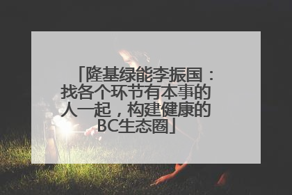 隆基绿能李振国：找各个环节有本事的人一起，构建健康的BC生态圈