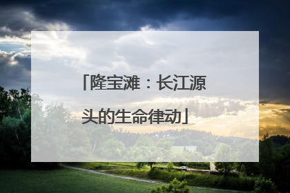 隆宝滩：长江源头的生命律动