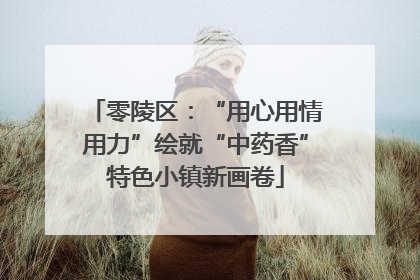 零陵区：“用心用情用力”绘就“中药香”特色小镇新画卷