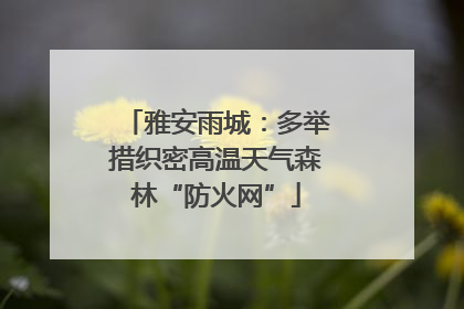 雅安雨城：多举措织密高温天气森林“防火网”