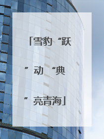 雪豹“跃”动 “典”亮青海