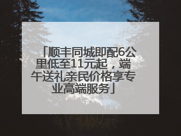顺丰同城即配6公里低至11元起，端午送礼亲民价格享专业高端服务