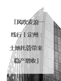 风吹麦浪一线行丨定州：土地托管带来稳产增收