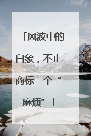 风波中的白象，不止商标一个“麻烦”