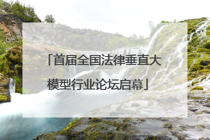 首届全国法律垂直大模型行业论坛启幕