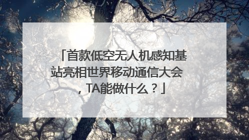 首款低空无人机感知基站亮相世界移动通信大会，TA能做什么？