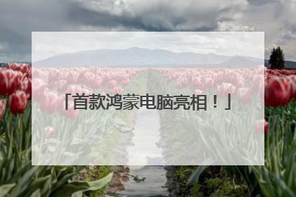首款鸿蒙电脑亮相！