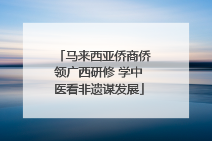 马来西亚侨商侨领广西研修 学中医看非遗谋发展