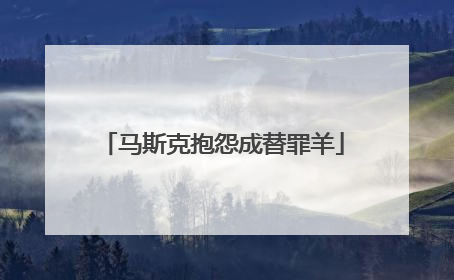 马斯克抱怨成替罪羊