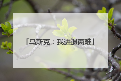 马斯克：我进退两难